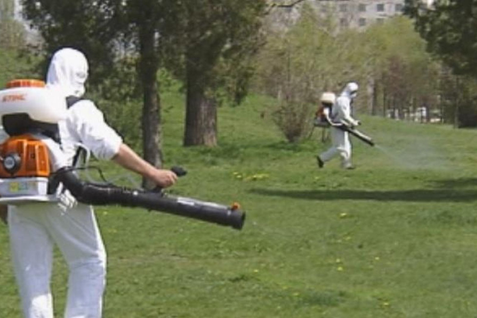 ддд обработки.jpg